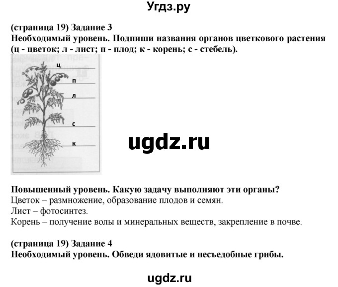 ГДЗ (Решебник) по окружающему миру 3 класс (проверочные и контрольные работы) Вахрушев А.А. / часть 1 (страница) / 19