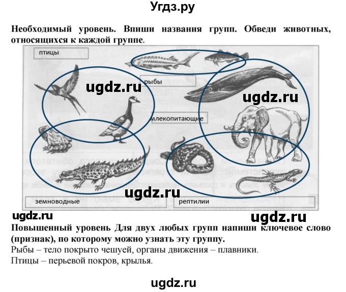 ГДЗ (Решебник) по окружающему миру 3 класс (проверочные и контрольные работы) Вахрушев А.А. / часть 1 (страница) / 30(продолжение 2)