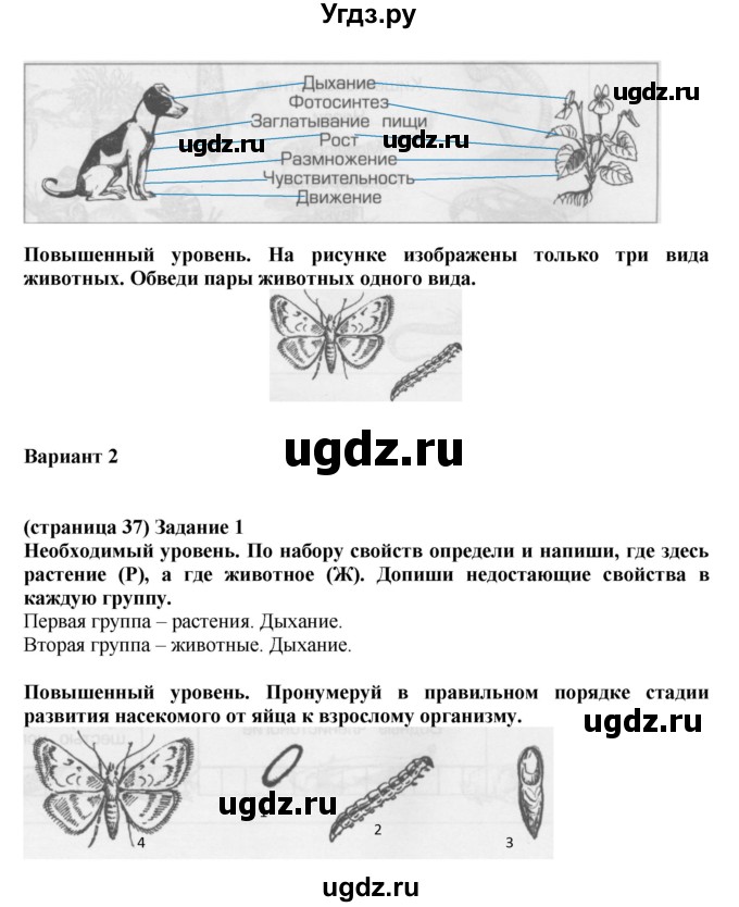 ГДЗ (Решебник) по окружающему миру 3 класс (проверочные и контрольные работы) Вахрушев А.А. / часть 1 (страница) / 37(продолжение 2)