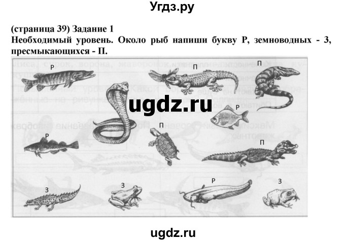 ГДЗ (Решебник) по окружающему миру 3 класс (проверочные и контрольные работы) Вахрушев А.А. / часть 1 (страница) / 39(продолжение 2)