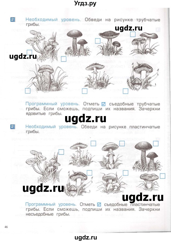 ГДЗ (Тетрадь) по окружающему миру 3 класс (проверочные и контрольные работы) Вахрушев А.А. / часть 1 (страница) / 46