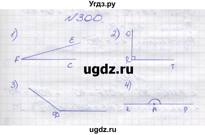 ГДЗ (Решебник №1) по математике 5 класс Мерзляк А.Г. / вправа номер / 300