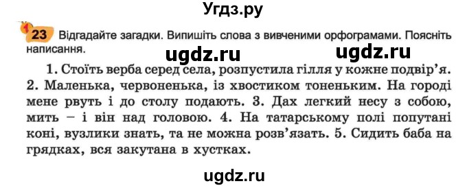 ГДЗ (Учебник) по украинскому языку 6 класс Заболотний О.В. / вправа номер / 23