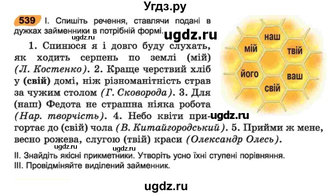 ГДЗ (Учебник) по украинскому языку 6 класс Заболотний О.В. / вправа номер / 539