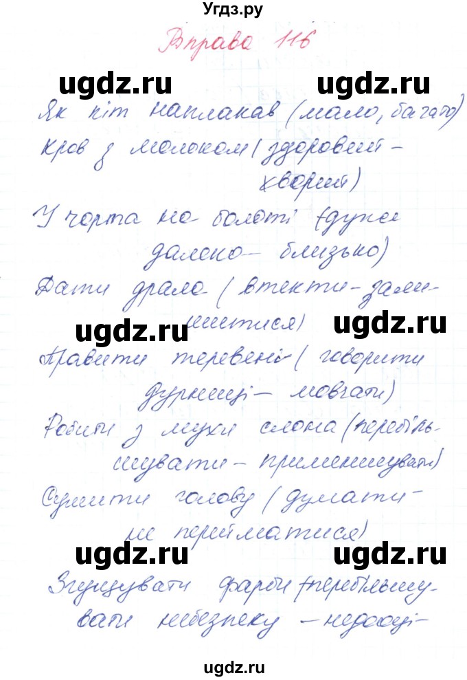 ГДЗ (Решебник) по украинскому языку 6 класс Заболотний О.В. / вправа номер / 116