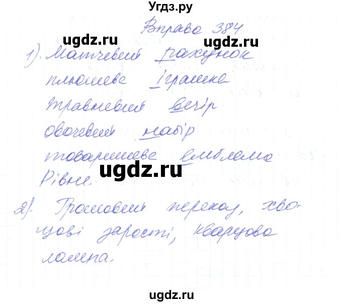 ГДЗ (Решебник) по украинскому языку 6 класс Заболотний О.В. / вправа номер / 384