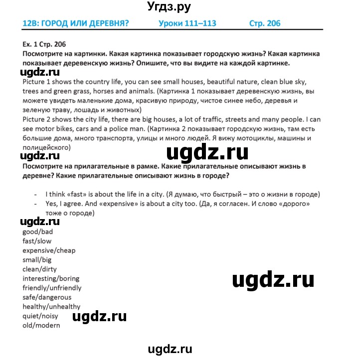 ГДЗ (Решебник) по английскому языку 5 класс Абдышева Ч.А. / страница номер / 206