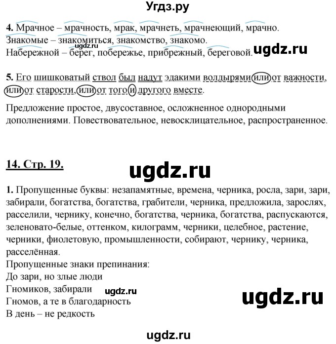 ГДЗ (Решебник) по русскому языку 6 класс (рабочая тетрадь) Склярова В.Л. / часть 2. страница номер / 19