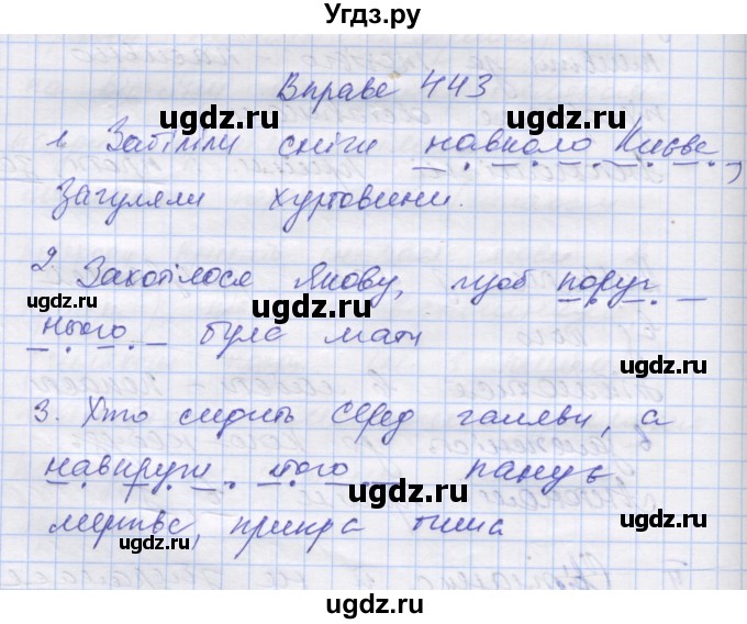 ГДЗ (Решебник) по украинскому языку 7 класс Заболотний О.В. / вправа номер / 443