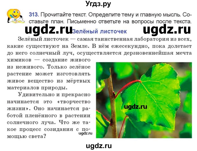 ГДЗ (Учебник) по русскому языку 7 класс Коновалова М.В. / упражнение номер / 313