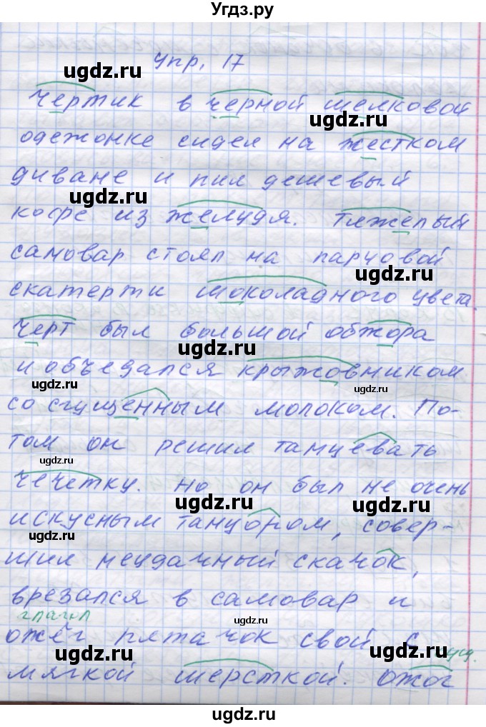 ГДЗ (Решебник) по русскому языку 7 класс Коновалова М.В. / упражнение номер / 17