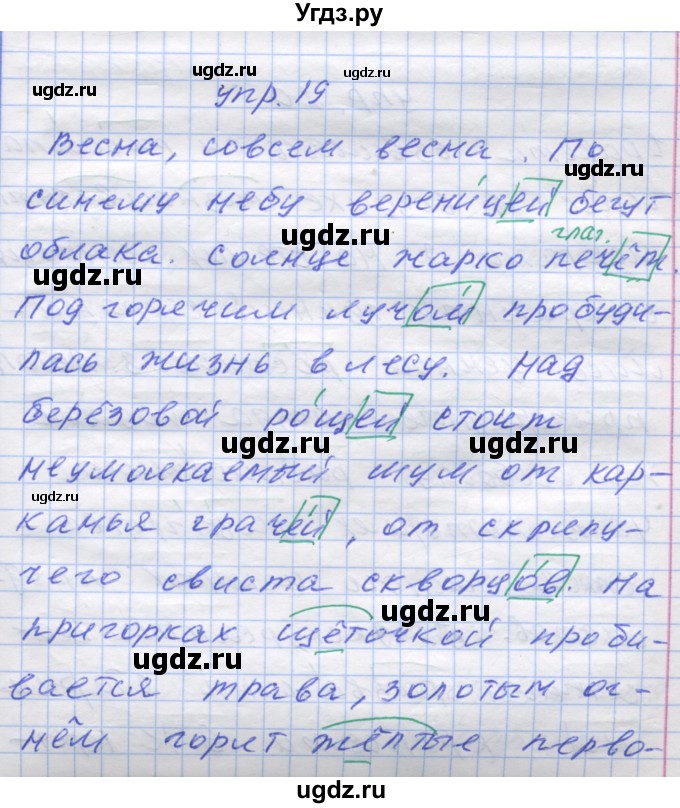 ГДЗ (Решебник) по русскому языку 7 класс Коновалова М.В. / упражнение номер / 19