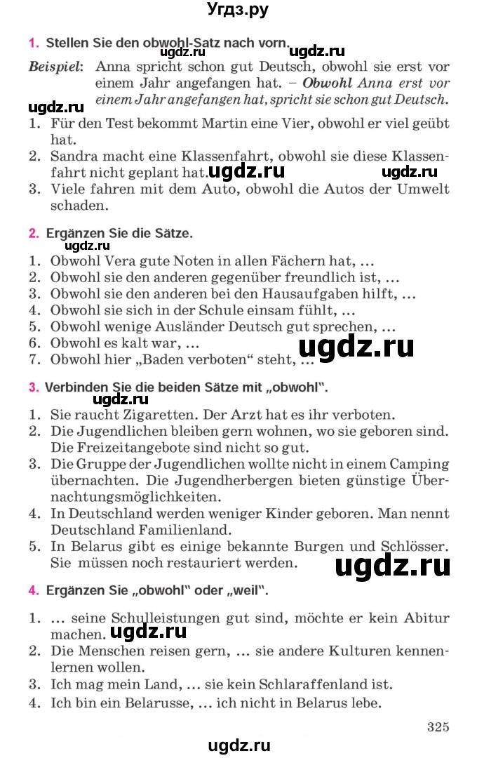 ГДЗ (Учебник) по немецкому языку 11 класс Будько А.Ф. / страница / 325