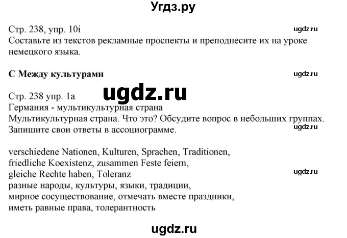 ГДЗ (Решебник) по немецкому языку 11 класс Будько А.Ф. / страница / 238(продолжение 2)