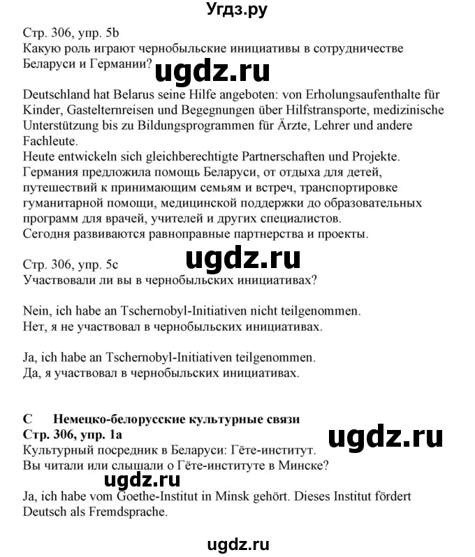 ГДЗ (Решебник) по немецкому языку 11 класс Будько А.Ф. / страница / 306