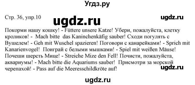 ГДЗ (Решебник) по немецкому языку 6 класс (рабочая тетрадь Alles Klar!) Радченко О.А. / тетрадь №1. страница номер / 36