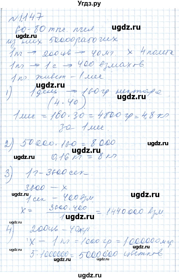 ГДЗ (Решебник) по алгебре 7 класс Шыныбеков А.Н. / раздел 1 / 1.147(продолжение 2)