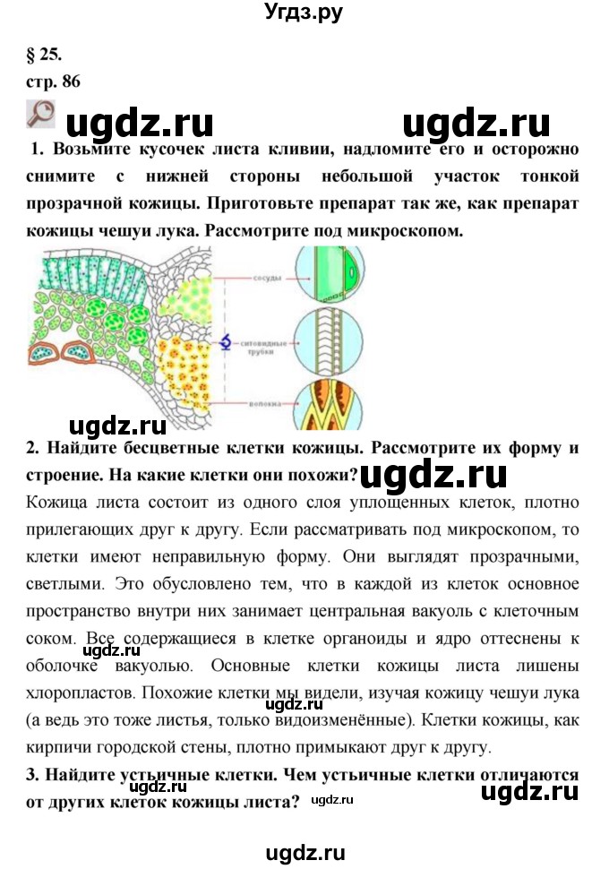ГДЗ (Решебник) по биологии 7 класс Пасечник В.В. / параграф / 25
