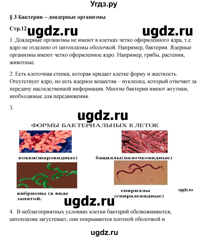 ГДЗ (Решебник) по биологии 7 класс (рабочая тетрадь) Пасечник В.В. / парагарф / 3