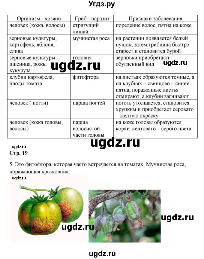 ГДЗ (Решебник) по биологии 7 класс (рабочая тетрадь) Пасечник В.В. / парагарф / 7(продолжение 2)