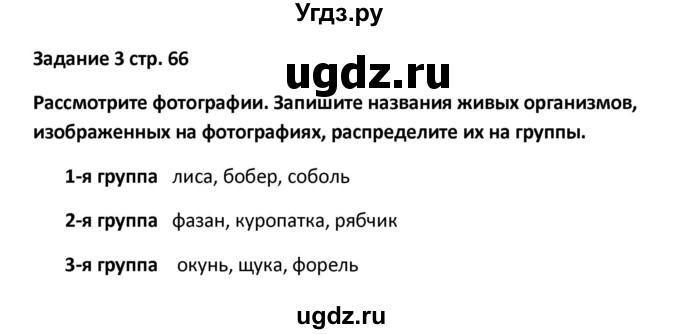 ГДЗ (Решебник) по географии 8 класс (тетрадь-тренажёр) Ольховая Н.В. / страница / 66