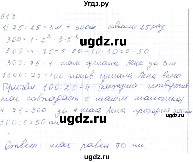 ГДЗ (Решебник) по математике 5 класс Алдамуратова Т.А. / упражнение / 313