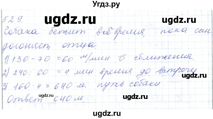 ГДЗ (Решебник) по математике 5 класс Алдамуратова Т.А. / упражнение / 529