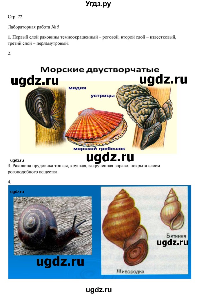 ГДЗ (Решебник) по биологии 7 класс Шаталова С.П. / параграф / 16(продолжение 2)