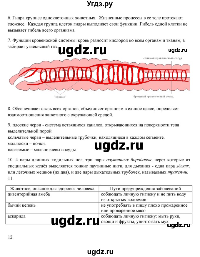 ГДЗ (Решебник) по биологии 7 класс Шаталова С.П. / параграф / 20(продолжение 2)