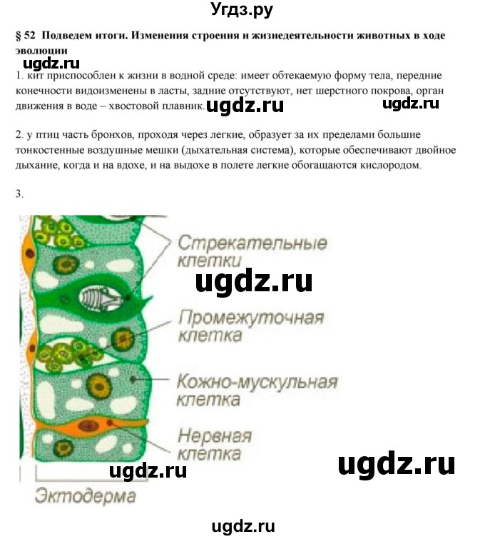 ГДЗ (Решебник) по биологии 7 класс Шаталова С.П. / параграф / 52