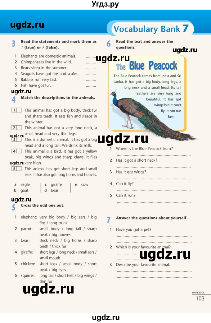 ГДЗ (Учебник) по английскому языку 5 класс (рабочая тетрадь Excel) Эванс В. / страница / 103