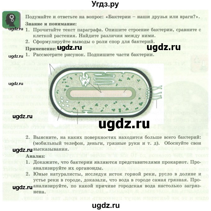 ГДЗ (Учебники) по биологии 7 класс Соловьева А.Р. / страница / 221