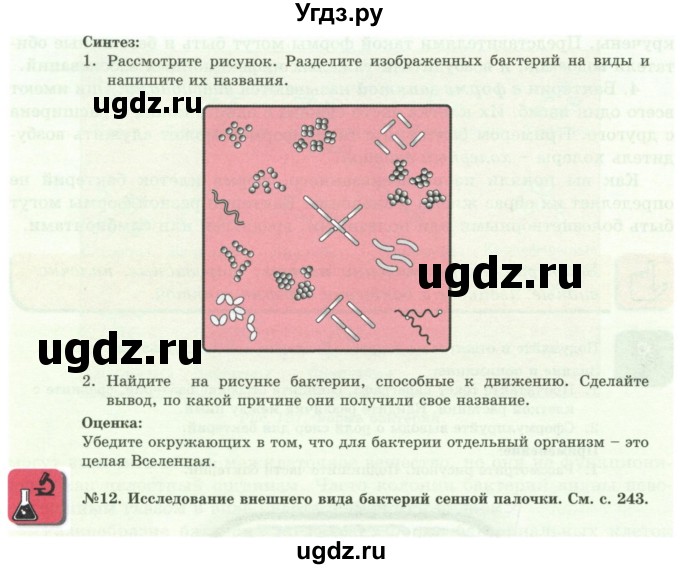 ГДЗ (Учебники) по биологии 7 класс Соловьева А.Р. / страница / 221(продолжение 2)