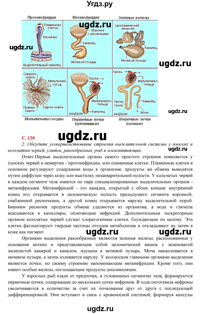 ГДЗ (Решебник) по биологии 7 класс Соловьева А.Р. / страница / 119(продолжение 4)