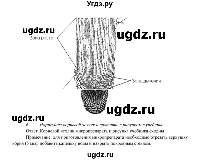 ГДЗ (Решебник) по биологии 7 класс Соловьева А.Р. / страница / 235(продолжение 2)