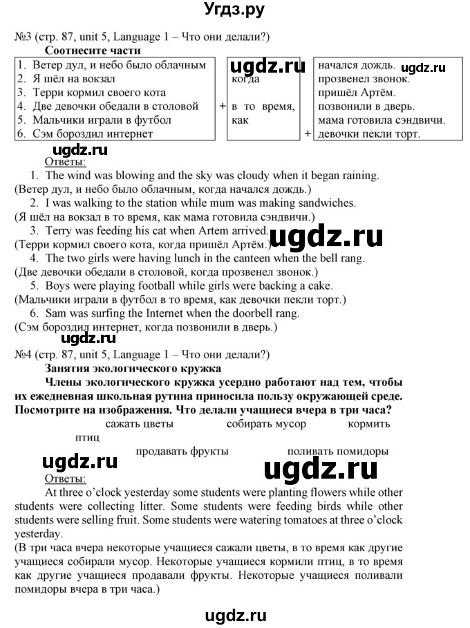 ГДЗ (Решебник) по английскому языку 8 класс Пахомова Т.Г. / страница / 87