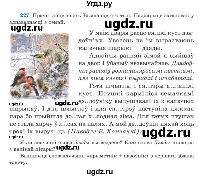 ГДЗ (Учебник) по белорусскому языку 5 класс Валочка Г.М. / частка 1. практыкаванне / 227