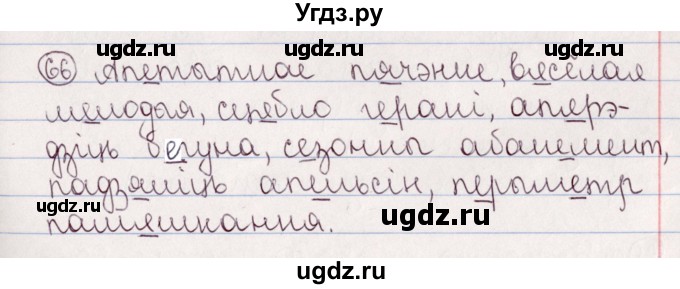 ГДЗ (Решебник №1) по белорусскому языку 5 класс Валочка Г.М. / частка 2. практыкаванне / 66