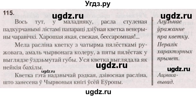 ГДЗ (Решебник №2) по белорусскому языку 5 класс Валочка Г.М. / частка 1. практыкаванне / 115