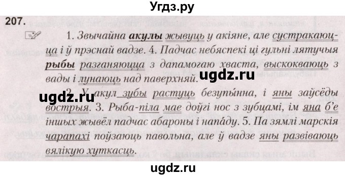 ГДЗ (Решебник №2) по белорусскому языку 5 класс Валочка Г.М. / частка 1. практыкаванне / 207