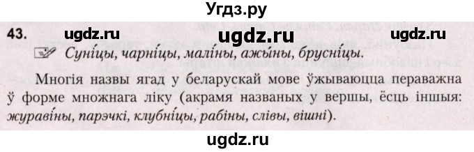 ГДЗ (Решебник №2) по белорусскому языку 5 класс Валочка Г.М. / частка 1. практыкаванне / 43