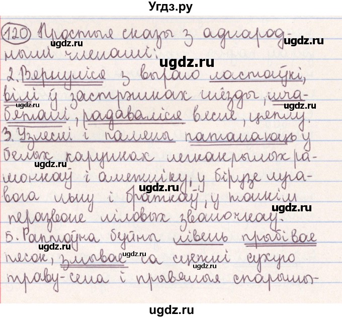 ГДЗ (Решебник №1) по белорусскому языку 9 класс Гарзей Н. М. / практыкаванне / 120