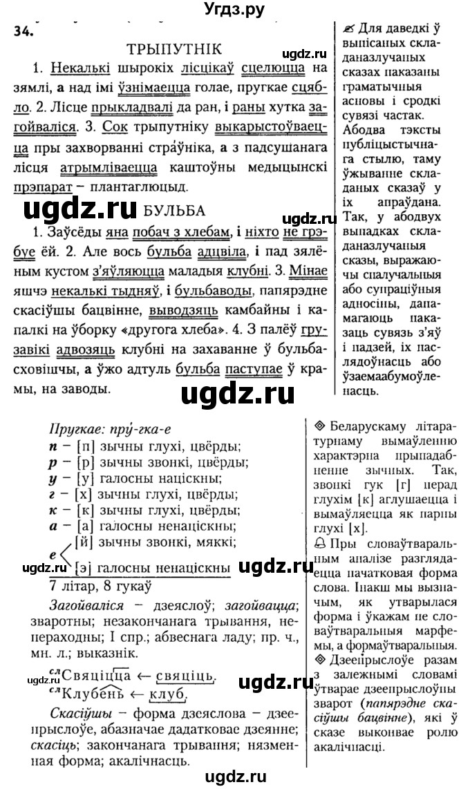ГДЗ (Решебник №2) по белорусскому языку 9 класс Гарзей Н. М. / практыкаванне / 34