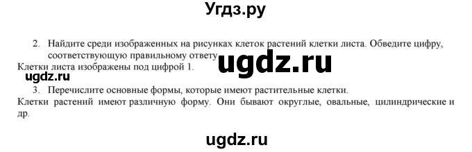 ГДЗ (Решебник) по биологии 6 класс (рабочая тетрадь) Лисов Н.Д. / страница / 27(продолжение 2)