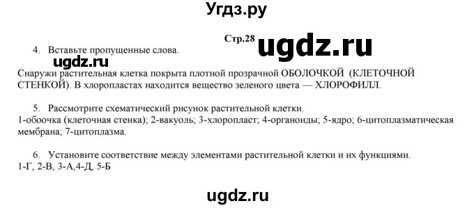 ГДЗ (Решебник) по биологии 6 класс (рабочая тетрадь) Лисов Н.Д. / страница / 28