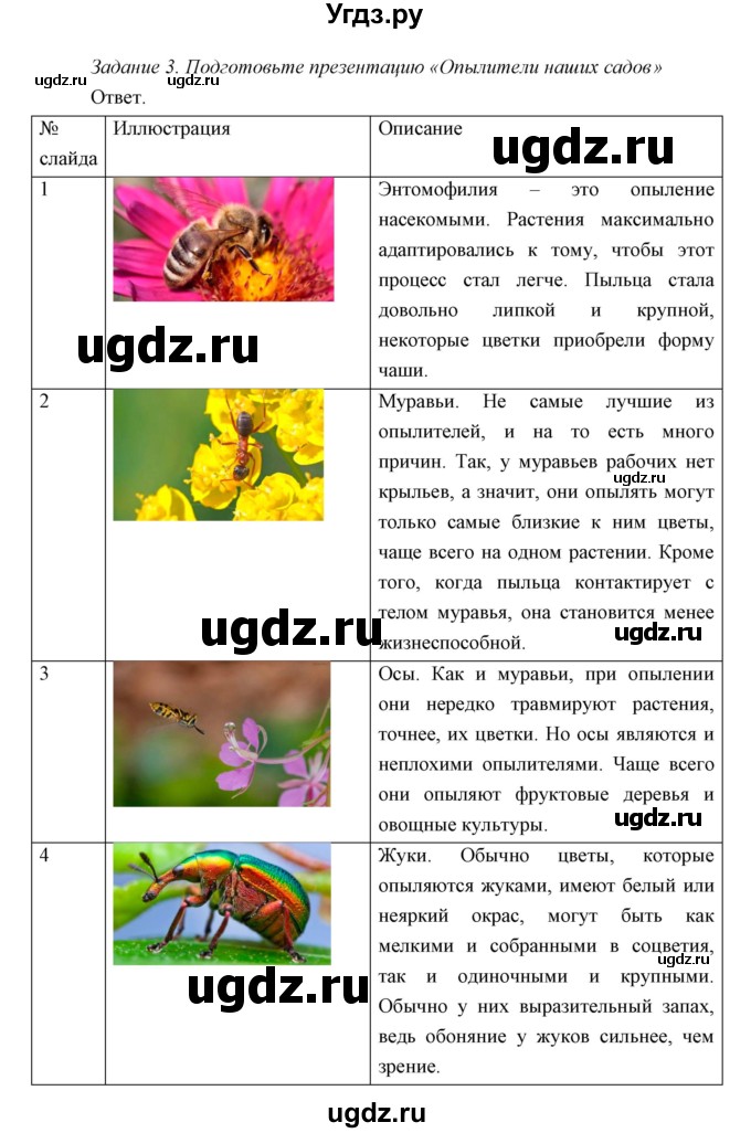 ГДЗ (Решебник) по биологии 7 класс Сивоглазов В.И. / параграф / 17(продолжение 13)