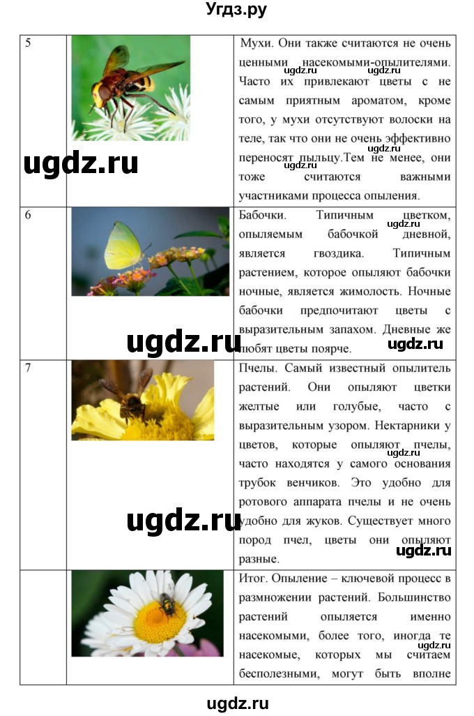 ГДЗ (Решебник) по биологии 7 класс Сивоглазов В.И. / параграф / 17(продолжение 14)