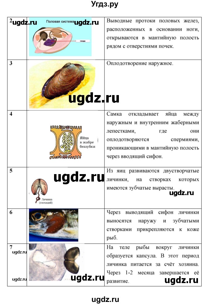 ГДЗ (Решебник) по биологии 7 класс Сивоглазов В.И. / параграф / 19(продолжение 8)