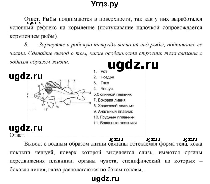 ГДЗ (Решебник) по биологии 7 класс Сивоглазов В.И. / параграф / 21(продолжение 14)