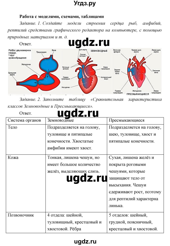 ГДЗ (Решебник) по биологии 7 класс Сивоглазов В.И. / параграф / 24(продолжение 13)